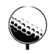 twinhillscc.com logo